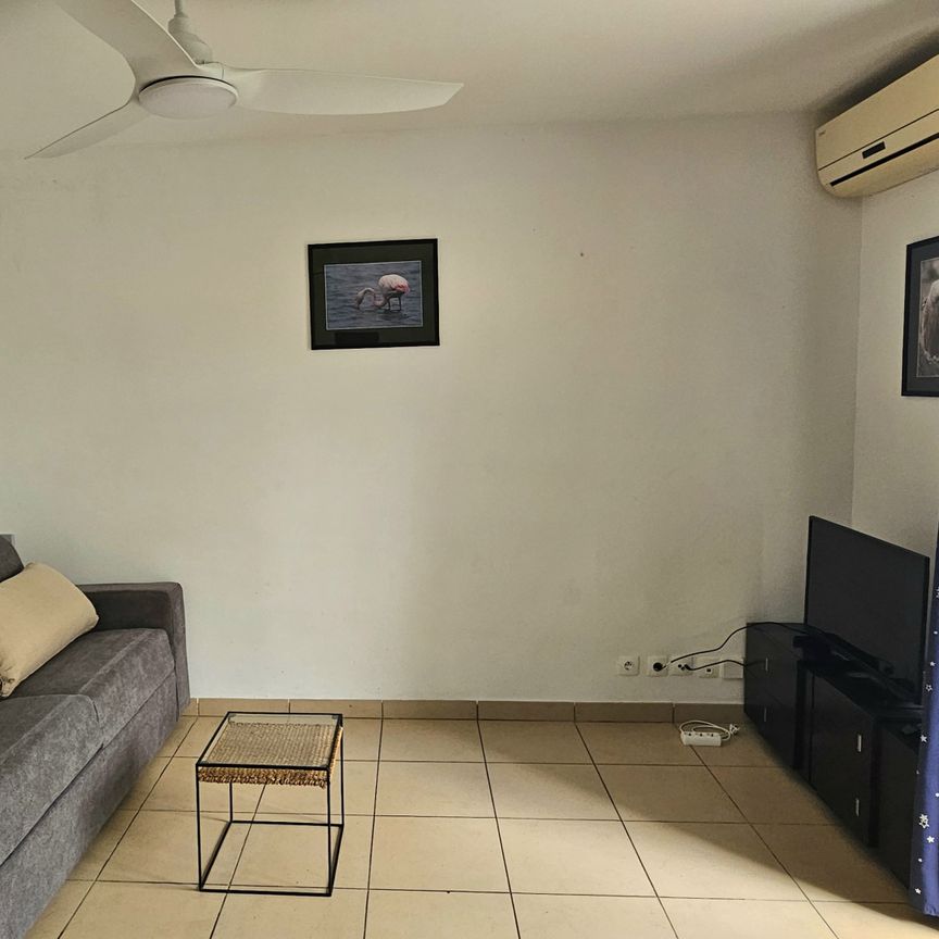 Location Appartement 1 pièce 26m² LES AVIRONS 97425 - Photo 1