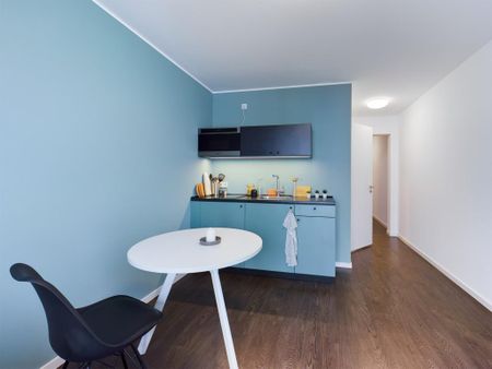 Large Bude 1.05.25 - Photo 3