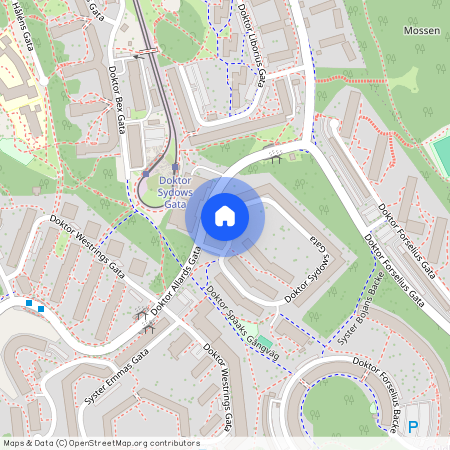 Guldheden, Göteborg, Västra Götaland, Doktor Sydows Gata 4