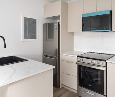 1 CH - 1 SDB - Montreal - $1,445 /mo - Photo 2