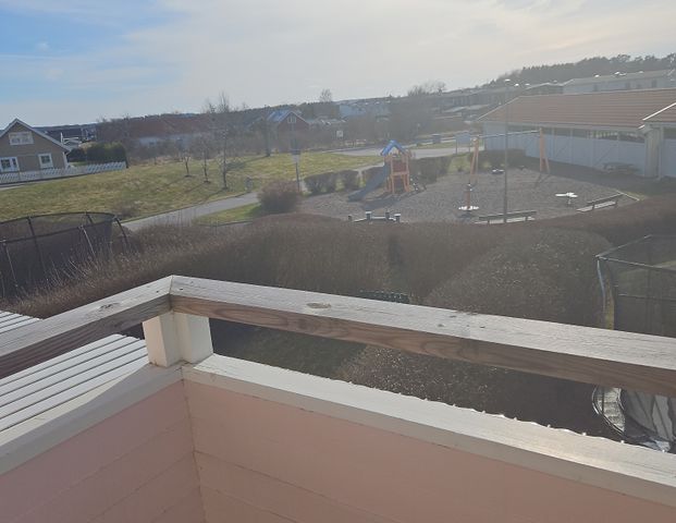 Berberisvägen, Bro - Photo 1