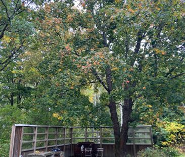 Kiselbacken, Sundsbruk - Foto 1