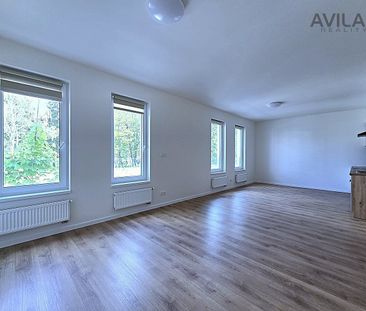 Pronájem bytu 1+kk 42 m² - Fotografie 1