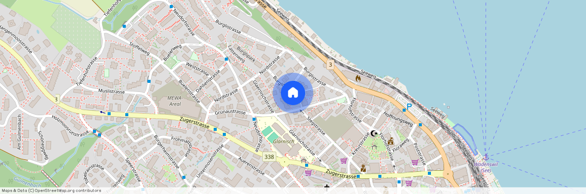 Grünaustrasse 10, 8820 Wädenswil