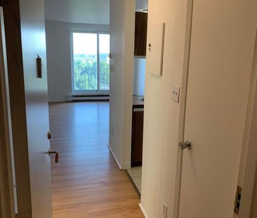 1 CH - 1 SDB - Montréal - $1,245 /mo - Photo 3