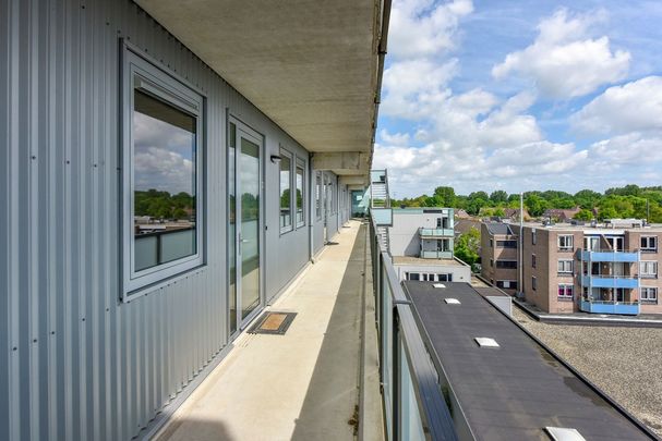 Sleutelbloem 23 - Foto 1