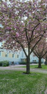 Ingenjörsgatan, Malmö - Photo 3