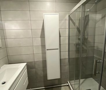 Location Appartement 3 pièces 57m² FONTAINE 38600 - Photo 3