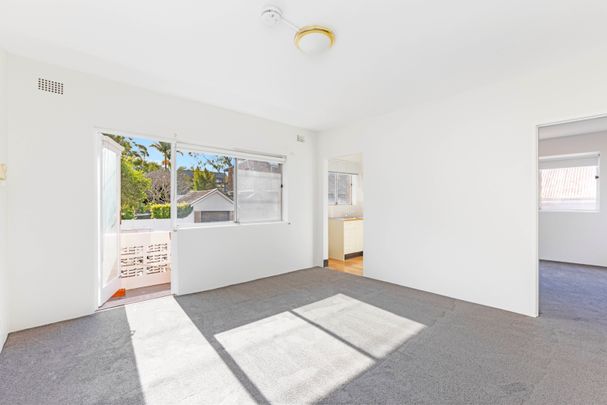 7/115 Flood Street, Leichhardt NSW 2040 - Apartment For Rent | Domain - Photo 1