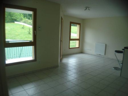 Appartement 2 pièces à louer St Romain le Puy - 42610 / Réf: LA2298-COMPANY39997BYE - Photo 2