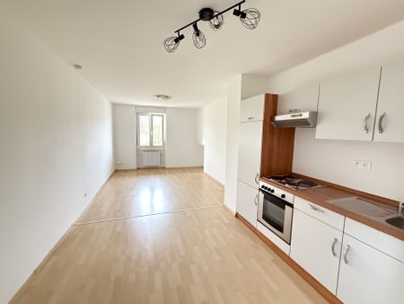 Location Appartement RANSPACH LE BAS 425 € CC - Photo 2