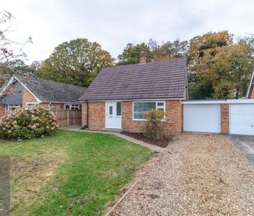 3 bedroom detached bungalow to rent - Photo 4