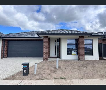 3 Bloom St, Clyde North, Vic 3978 - Photo 4