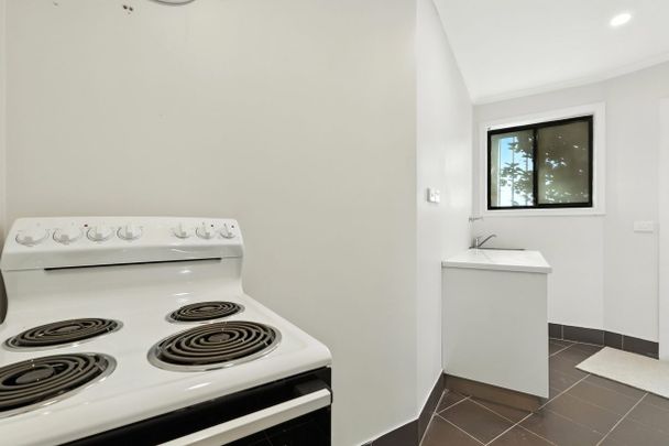 Peace & Seclusion (Utilities Included) - Photo 1