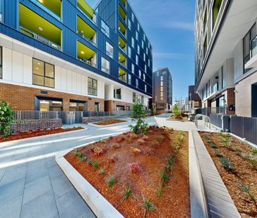 142/7 Letitia Street, Zetland NSW 2017 - Apartment For Rent | Domain - Photo 3