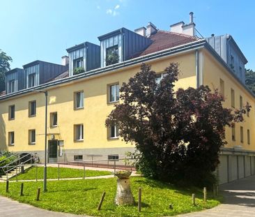 Ruhige 3-Zimmer-Wohnung neben dem Schlosspark Schönbrunn - Erstbezu... - Photo 6