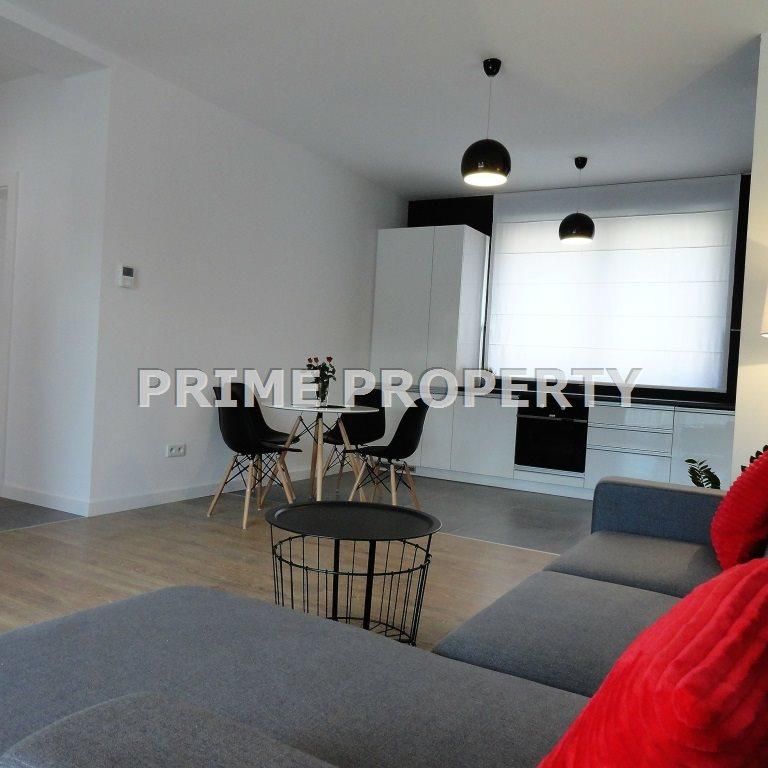 Mieszkanie śląskie Cieszyn powierzchnia 42.98 m² C395-WM-44956 - Фото 1