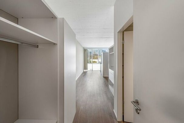 Living in Sihlhof 2 – Attention singles - Foto 1