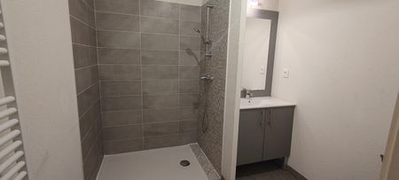 Location Appartement 2 pièces 38m² COLOMIERS 31770 - Photo 5