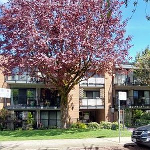 Kitsilano, Bright, Large 1 Bed, 2nd Flr, Oct 1st - Photo 2