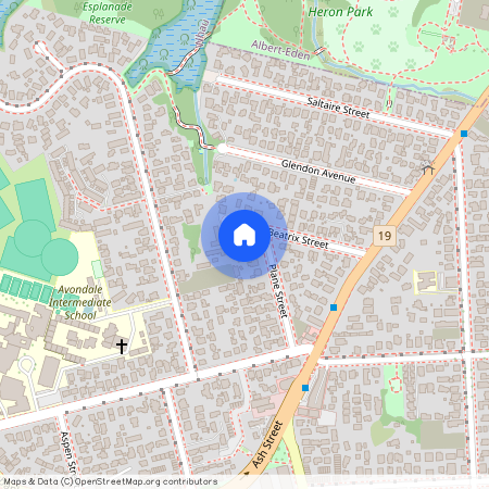 20A Plane Street, Avondale, Auckland