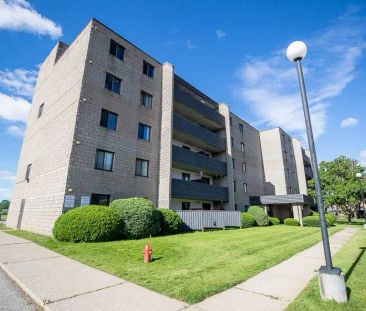 155 Hagar Street — 1 Bedroom Deluxe - Photo 4
