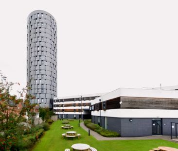 Annex Platinum Plus - Photo 5