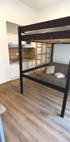 Location Appartement 1 pièce 23m² GRENOBLE 38000 - Photo 1