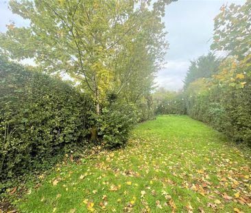 4 bedroom semi-detached house to rent - Photo 2