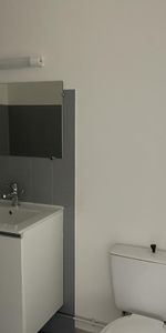 Location Appartement 1 pièce 23m² RIORGES 42153 - Photo 3