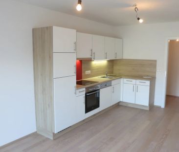 3 Zimmer, Gehweite U6 Floridsdorf, Alte Donau - Photo 1