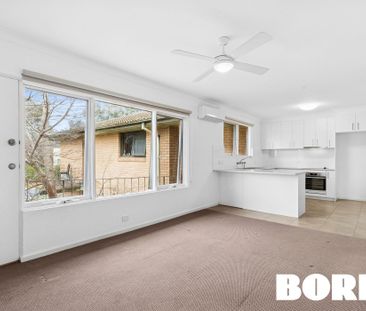 3/2 Olympus Way, Lyons ACT 2606 - Apartment For Rent | Domain - Photo 2