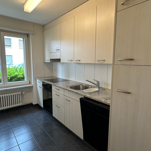 Gemütliche Wohnung mit Aussicht über die Stadt Zürich - Photo 1