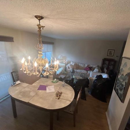 1 CH - 1 SDB - Côte Saint-Luc - $1,240 /mo - Photo 3
