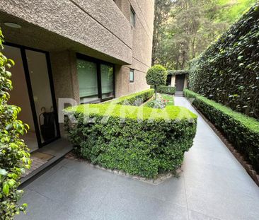 Departamento en renta en Bosques de las Lomas - Photo 2
