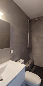 Location Appartement 1 pièce 20m² CLERMONT L HERAULT 34800 - Photo 4