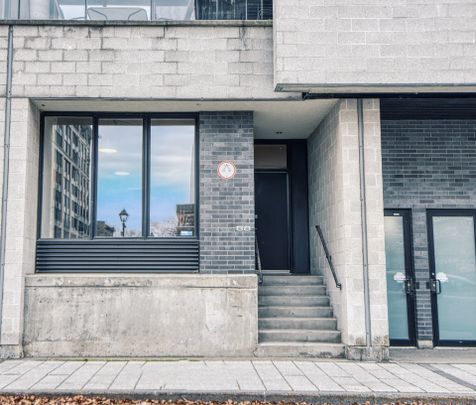 Appartement à louer, Montréal (Ville-Marie) - Photo 1