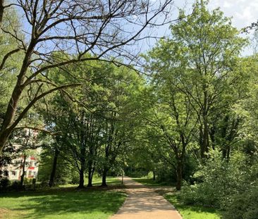 Demnächst frei! 2-Zimmer-Wohnung in Essen Margarethenhöhe - Photo 1