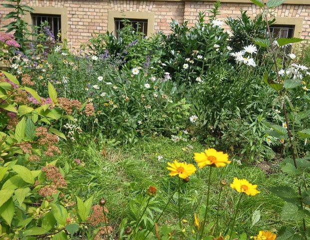 Schöne Wohnung zu vermieten - Foto 1