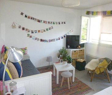 Location appartement 1 pièce 22.71 m² à Castelnau-le-Lez (34170) - Photo 6