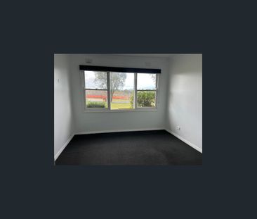 Charming & well maintained 3 bedroom house - WATER USAGE INCLUDED I... - Photo 3