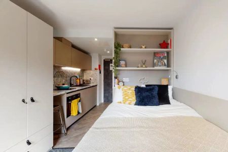 Silver Studio Lower Level - Photo 2