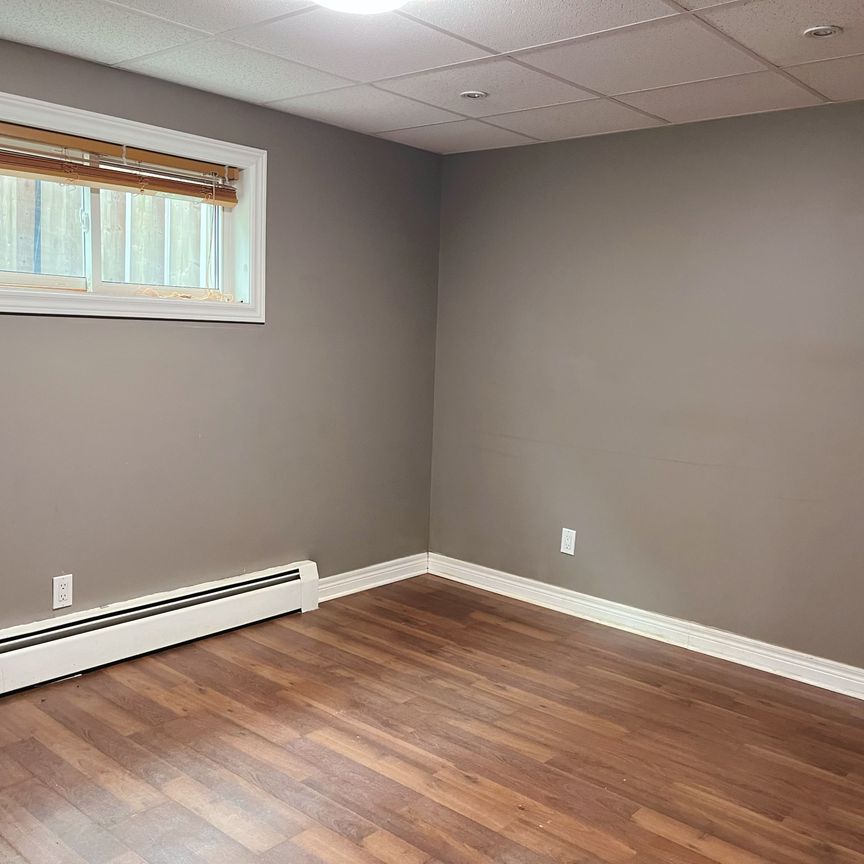 For Lease - 106 St Davids Road Unit# Lower, St. Catharines, Ontario - Photo 1