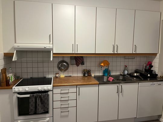 Skäpplandsgatan 8 - Foto 1