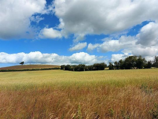 3 bedroom house to rent - Photo 1