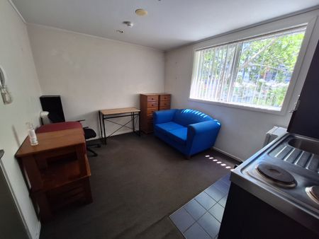 Compact Sunny Apartment - Photo 5