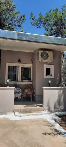 Ενοικίαση κατοικίας, 25 τ.μ., Αχαρνές, 380 € - Photo 4