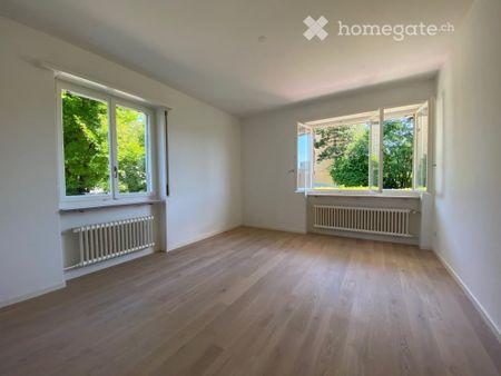 Charmante, lichtdurchflutete und ruhige 3.5 Zimmerwohnung - Photo 2