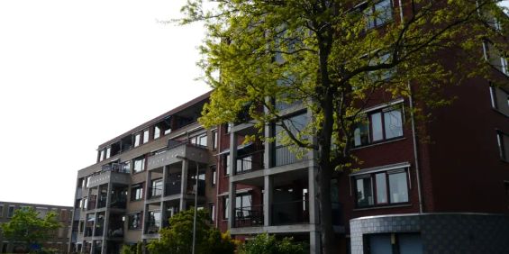 Appartement Anjerhof 28, Naaldwijk - À Louer - Photo 3