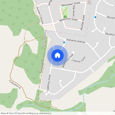 38 Tipperary Drive, NSW 2323, Ashtonfield